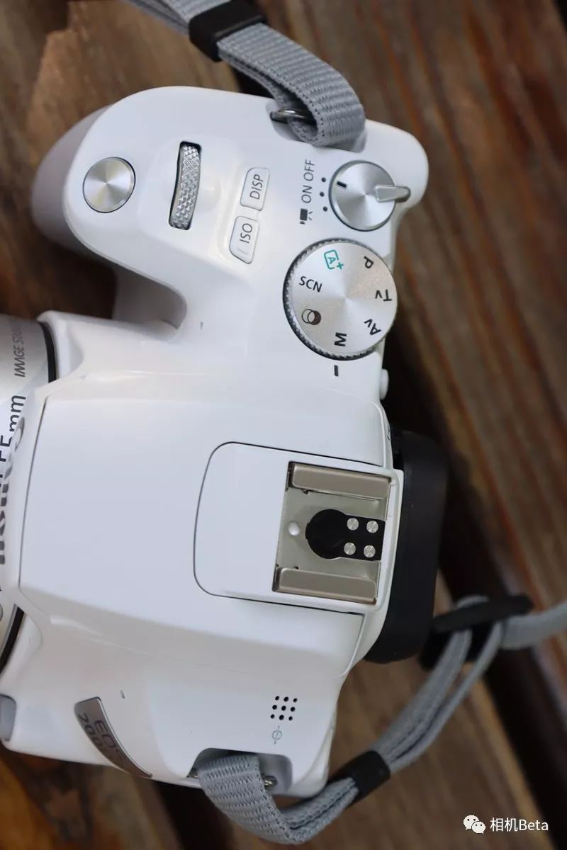 小单反相机入门,最小的单反相机有哪些