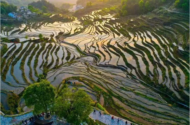 要火了！荆门这个村子拟入选这个国家级名单！