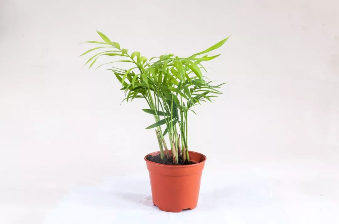 空调房老是有异味怎么办,空调房里感觉有臭味怎么回事