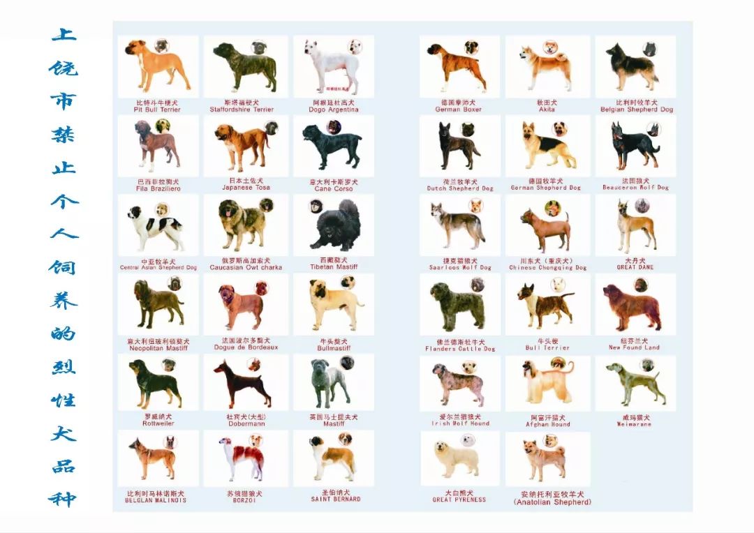 九江禁止养犬规定,上饶市养犬管理暂行规定