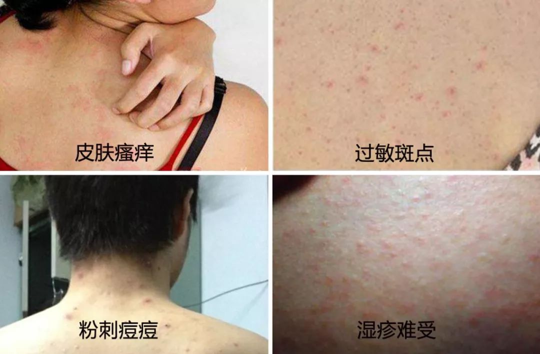 搓背再也不求人！风靡日本的弧形浴刷，轻轻一搓出污垢