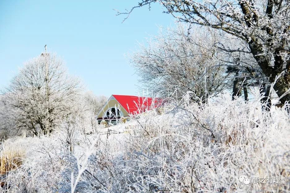 当我说爱德华王子岛是苦寒之地时，一位岛民发来了反驳……