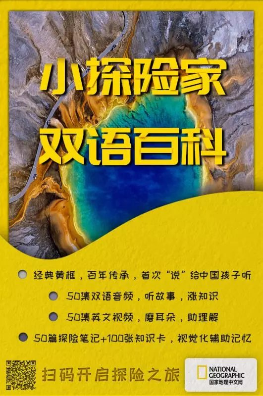 南京紫金山灵谷寺萤火虫,南京灵谷寺哪里可以看到萤火虫