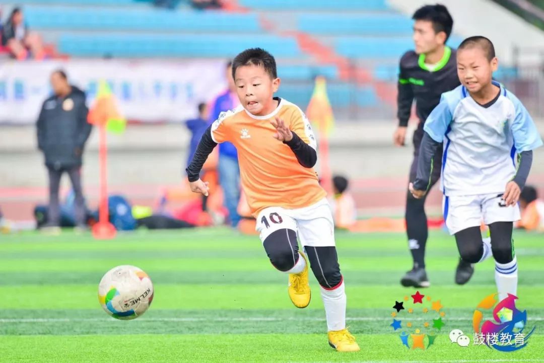 牛娃获奖视频,牛娃游泳冠军