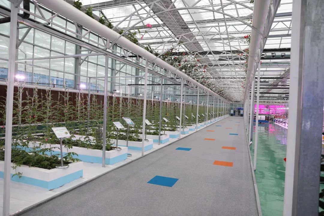 干事创业激情和担当作为,激情干事