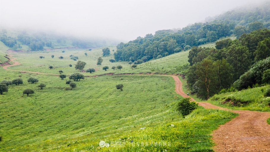 这个夏天来塞罕坝看看吧,坝上草原森林