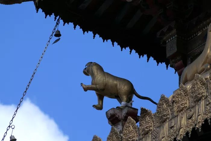 松下fz10002gk,松下fz10002gk发布时间