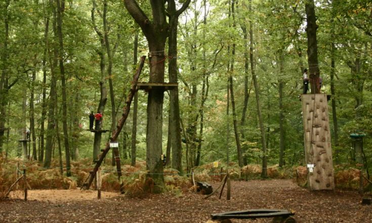 鏍戦《鎺㈤櫓鍏洯娓哥帺,鏍戦《鎺㈤櫓鍏洯娓哥帺鏀荤暐