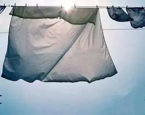 尘螨过敏用哪款除螨仪好,尘螨过敏体质应该如何挑选除螨仪