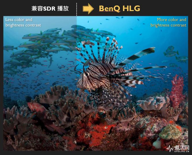 明基tk800m5000元值得购买吗,4k影院明基tk800m