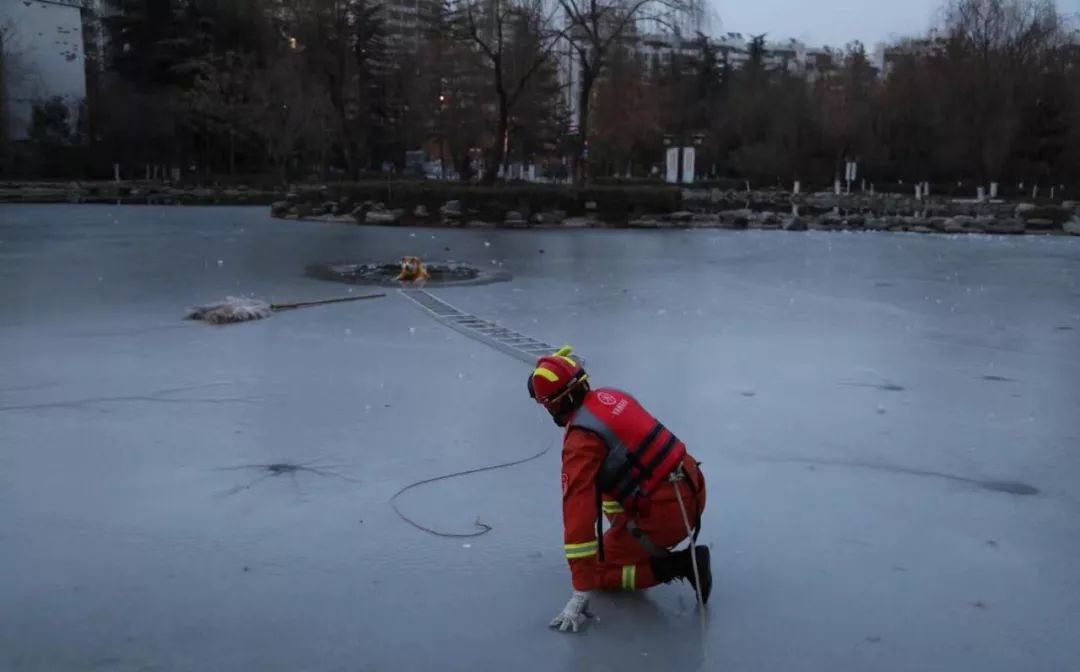 消防员才是人们心目中真正的超人,万能的消防员比什么都有安全感