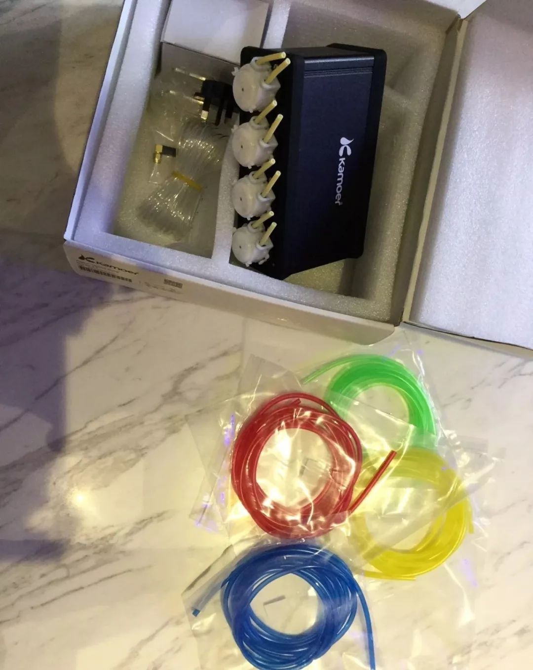 新开缸每天都有鱼死,新开缸鱼一直死