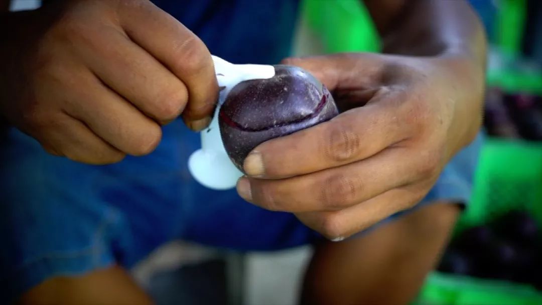 宾川最出名的石榴,大理宾川石榴