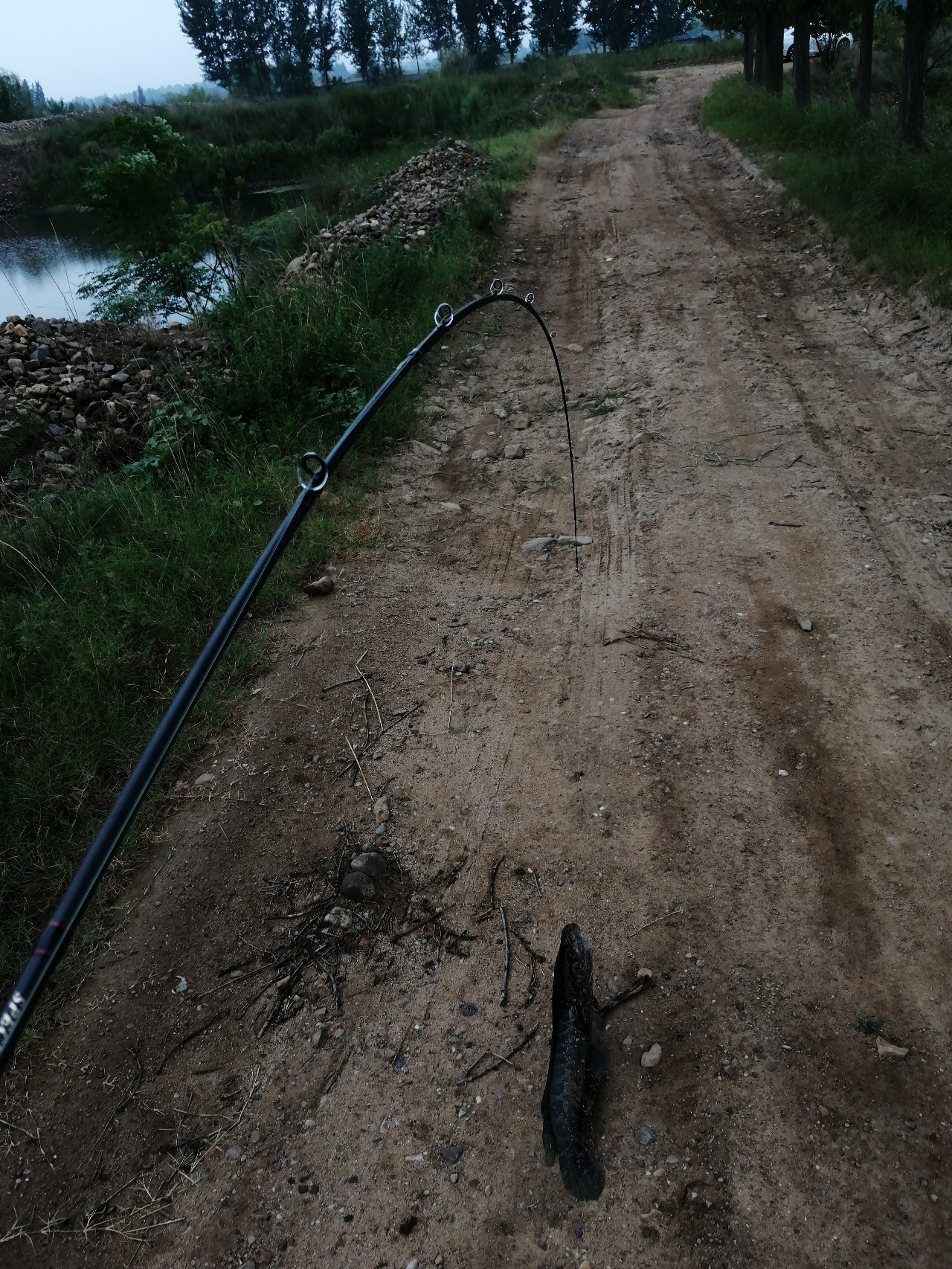 鱼口轻不中鱼掌握这三点轻松爆护,打黑障碍多鱼口滑怎么解决