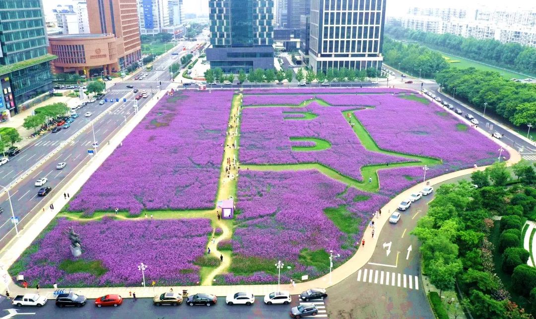 七月的泰达，美到没朋友