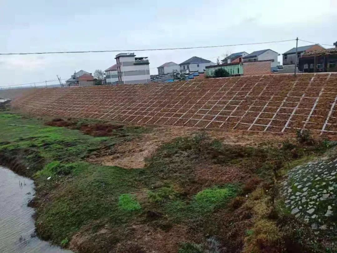 渝水区签约126亿元项目,争政策争项目争资金情况汇报