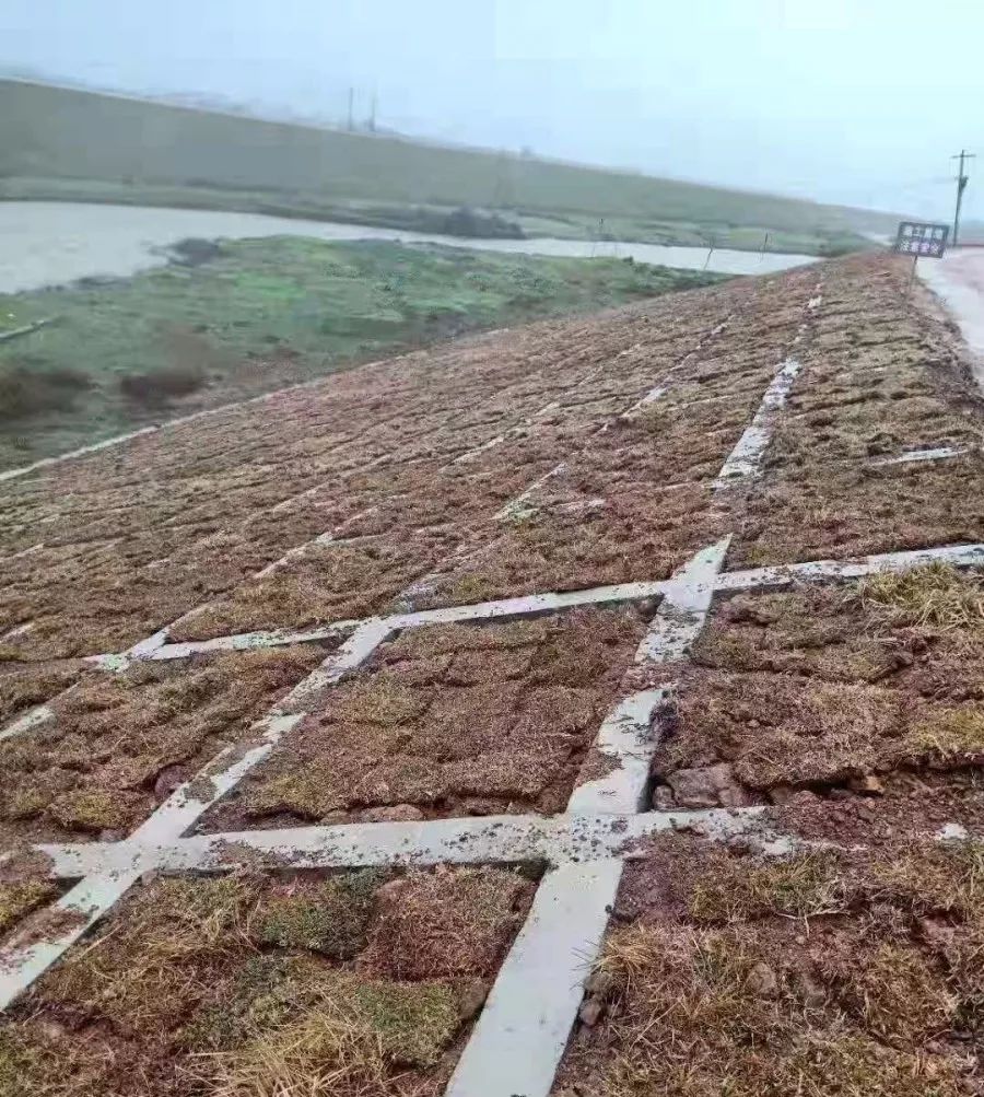 渝水区签约126亿元项目,争政策争项目争资金情况汇报