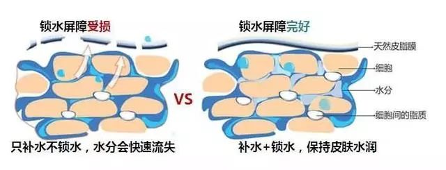 涓庣埍璞嗙殑浜插瘑浜掑姩,鍜岀埍璞嗕簰鍔ㄧ殑鐢滆湝鐬棿