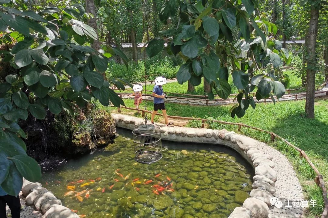 值得一去的农家乐推荐,山间农家乐值得去吗