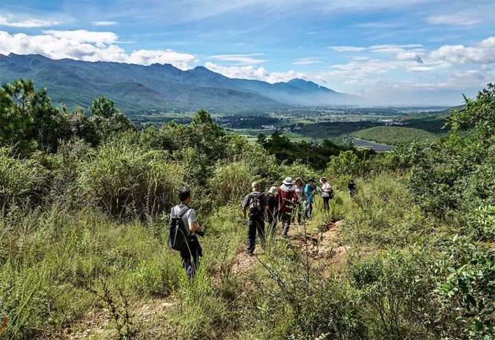 我在中国修文物纪录片,我在民间修文物简介