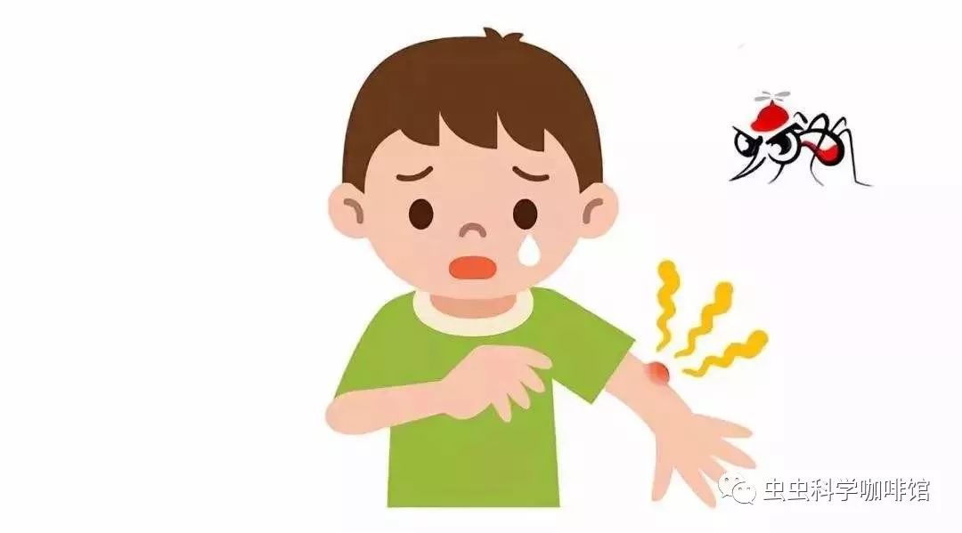 被蚊子咬了特别痒怎么快速止痒,被蚊子咬了痒怎么快速止痒