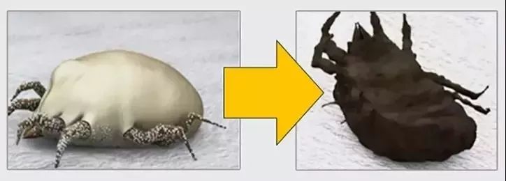 除螨杀菌喷雾好物推荐,家用除螨喷雾好物推荐