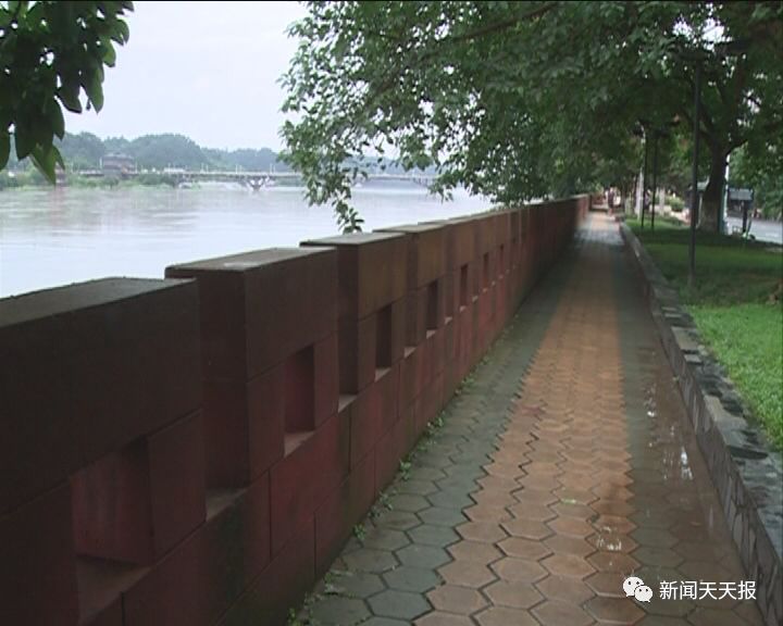 盘点细思极恐的虫子,盘点你不知道的虫子