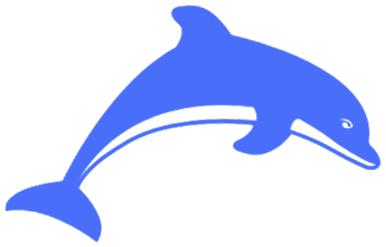 以案释法30万信任代价,以案释法骗局视频