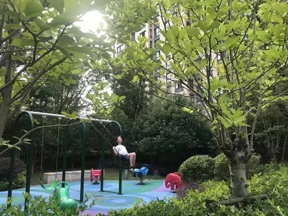 【中央生态环保督察在上海】宝山跑出空气环境质量改善“加速度”