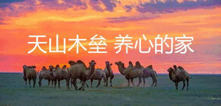 我是一颗石榴籽活动心得体会,我是一颗石榴籽讲故事比赛