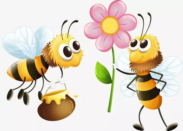 你了解青蒿素吗,你了解蜂蜜吗