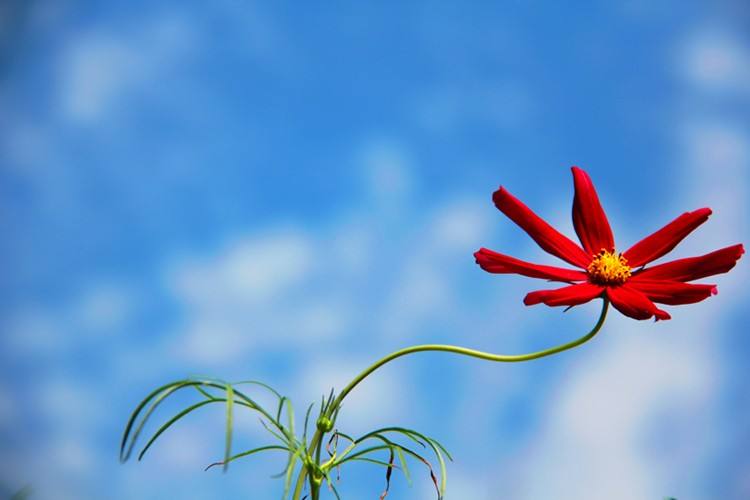 干脆点的拒绝就是一种负责,干脆拒绝犹豫答应是一种高情商