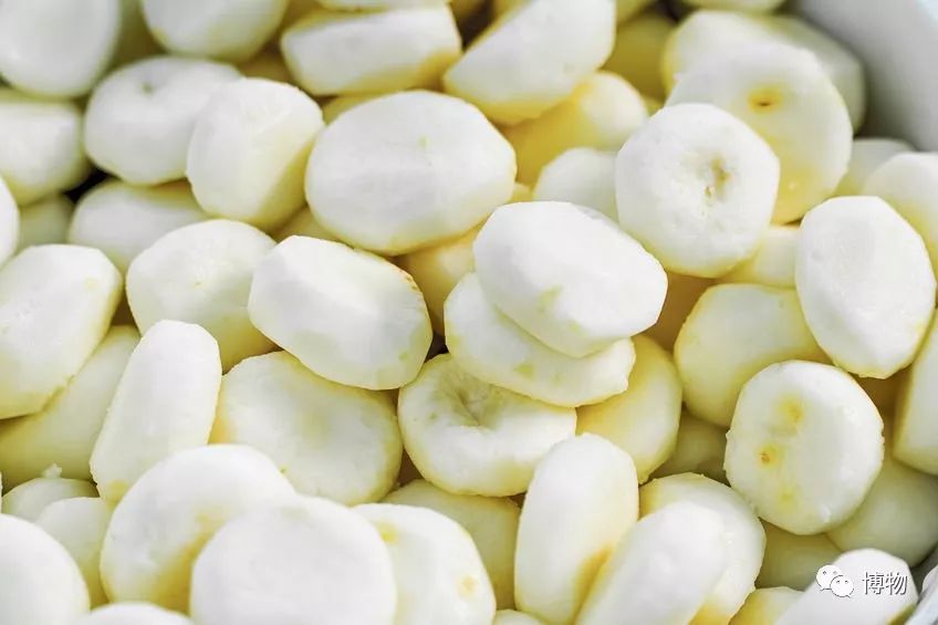 梨子好吃又脆,梨和脆萝卜