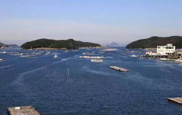 鏃ユ湰绾疄鎽勫奖,鏃ユ湰鍏宠タ绾疄鎽勫奖