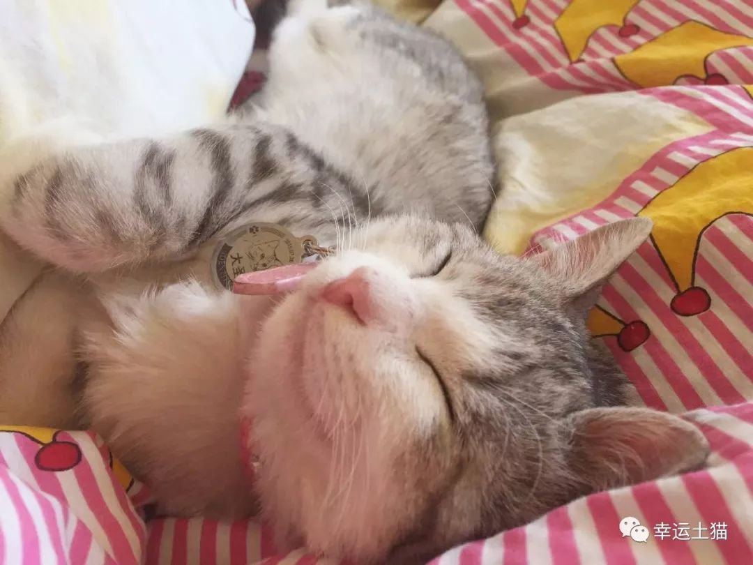 骞歌繍鍦熺尗骞垮窞,骞歌繍鍦熺尗涔夊崠