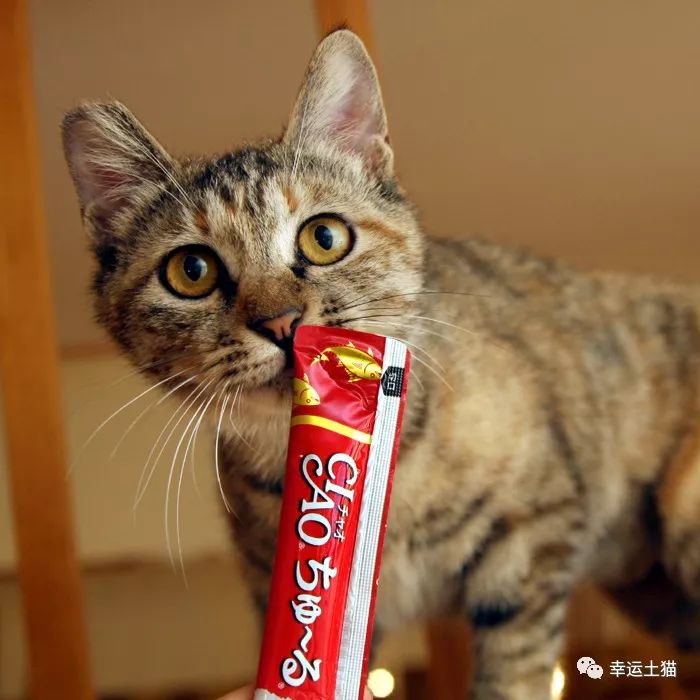 骞歌繍鍦熺尗骞垮窞,骞歌繍鍦熺尗涔夊崠