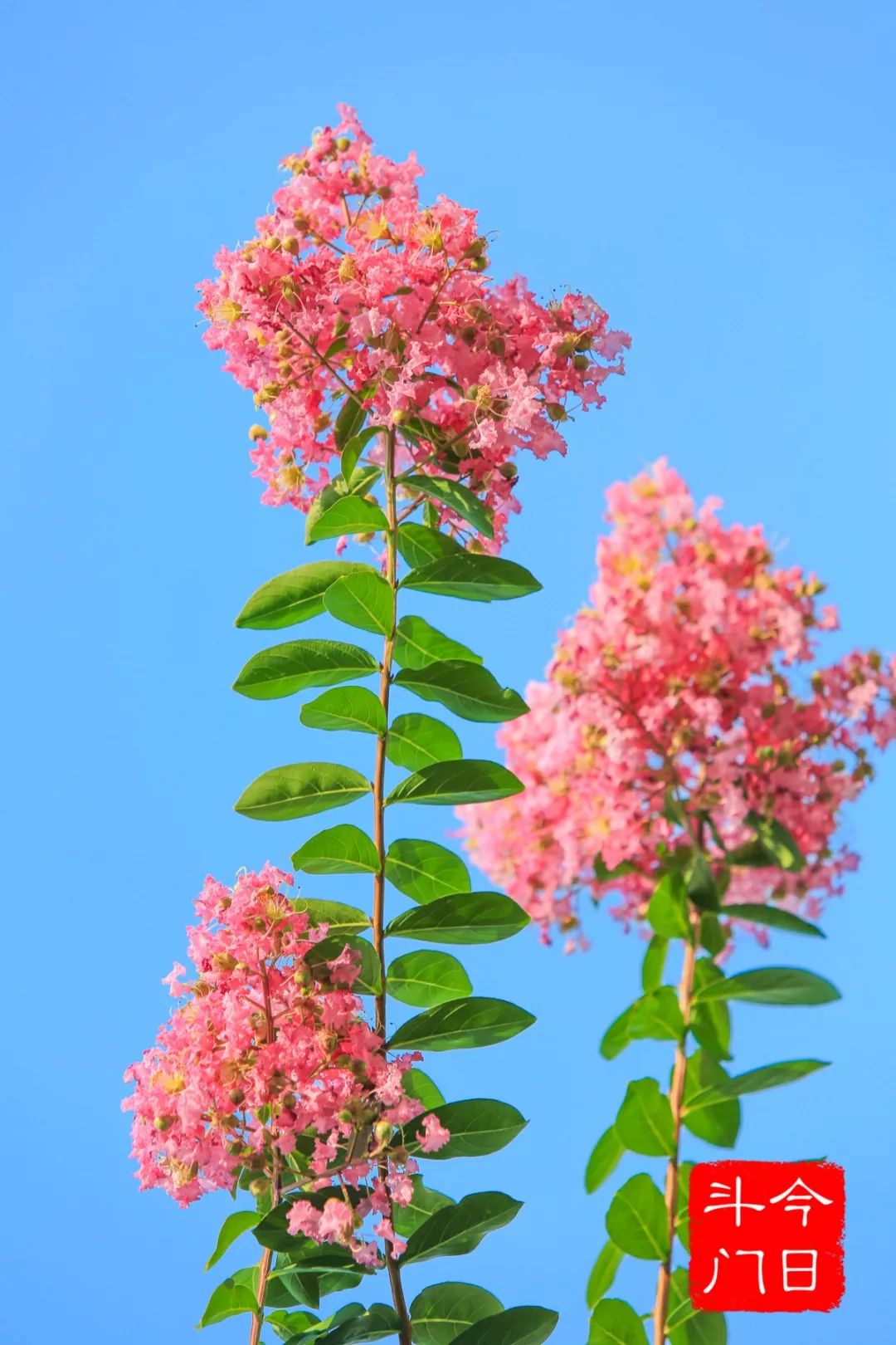 喜欢拍照的快来打卡,想去拍照的景点