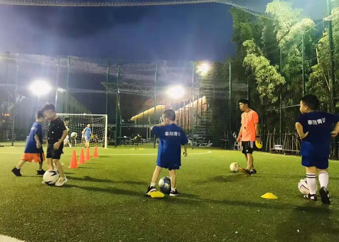 暑期健身指南全套,暑期运动健身指南