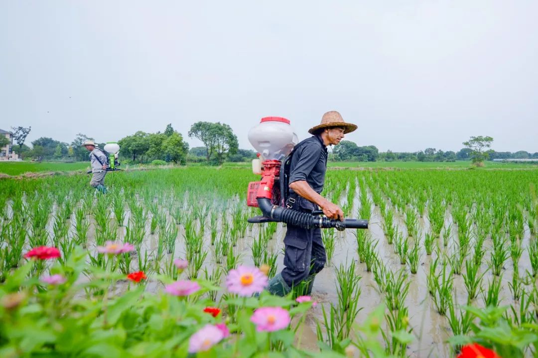 湖州最美的夜景唯美视频,湖州最美的夜景视频