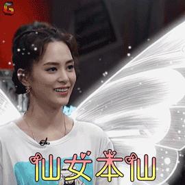 林允范冰冰,林允评价范冰冰