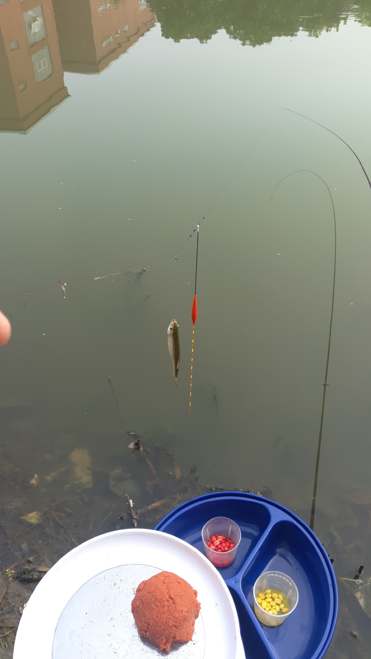 串钩钓餐条的方法与技巧,自制串钩线组教程