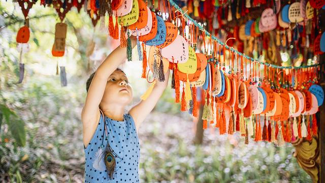 最后的净土,最后的净土格陵兰岛