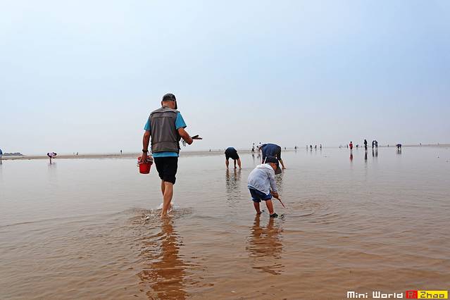 在礐石居然有这么一个世外桃源,日照有哪些海滩可以免费赶海