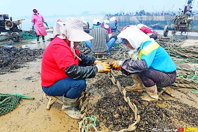 在礐石居然有这么一个世外桃源,日照有哪些海滩可以免费赶海