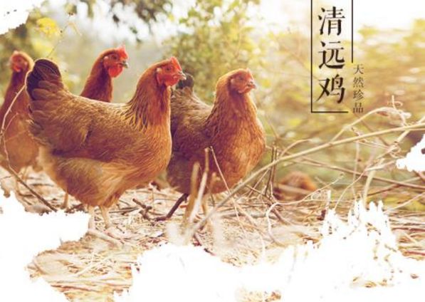 广东最没存在感的城市，究！竟！是！谁