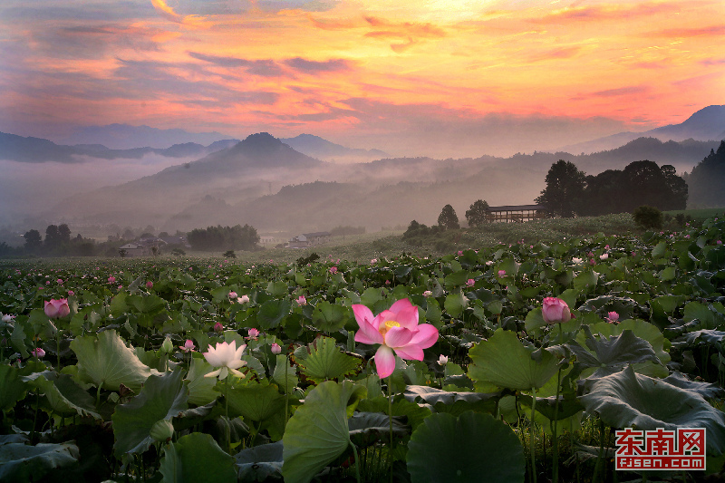 福建天气热的视频,8月4日福建沿海天气情况