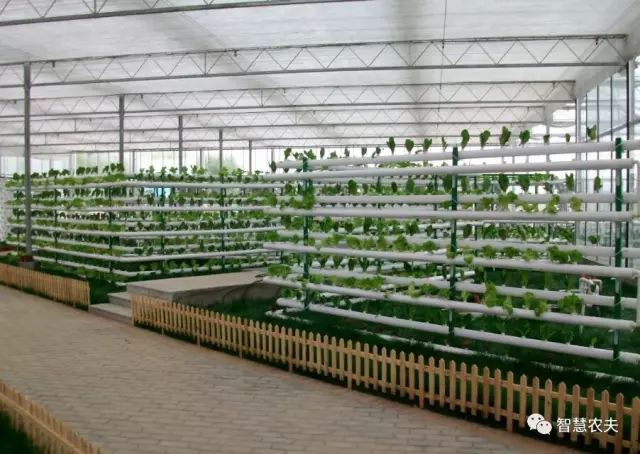 知农道农无土栽培实操技术,无土栽培的知识