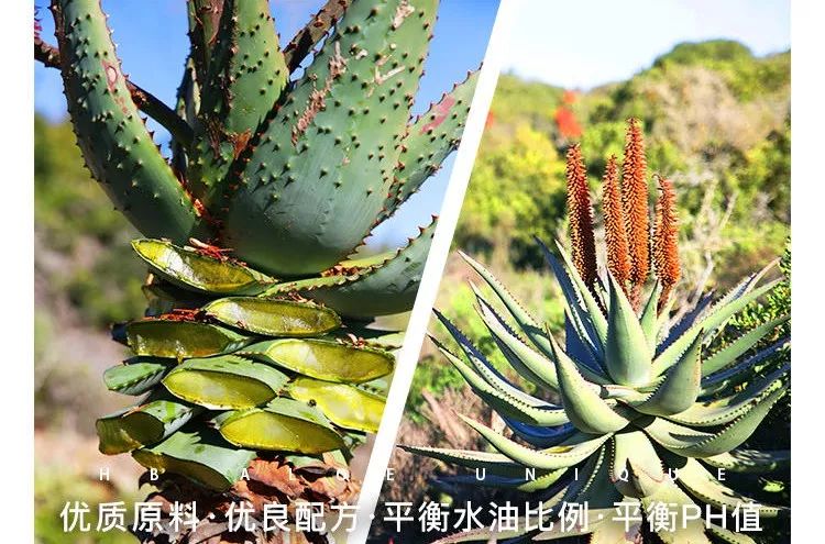 芦荟胶补水保湿提亮肤色晒后修复,祛痘晒后修复保湿补水芦荟胶