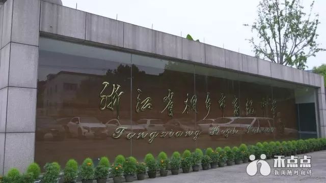 暑假教育培训现状,暑期培训班火爆热闹背后暗藏乱象