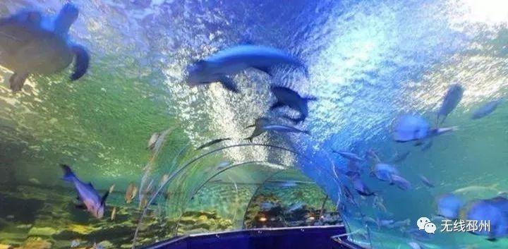 标哥带你去旅行直播,主播带你去旅行新闻稿